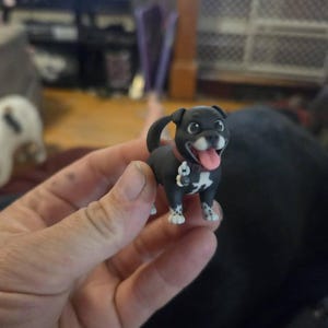 Holly added a photo of their purchase