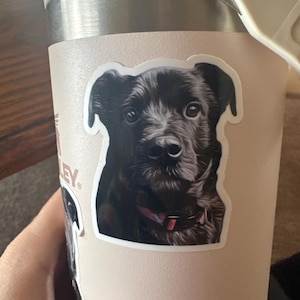 Lee added a photo of their purchase