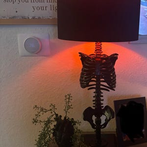 The Skeleton Table Lamp by the Blackened Teeth | Ribcage Lamp