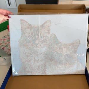 Hailey added a photo of their purchase