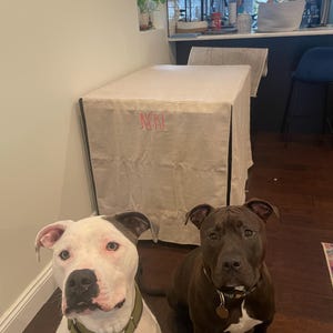Michelle added a photo of their purchase