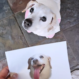 An added a photo of their purchase