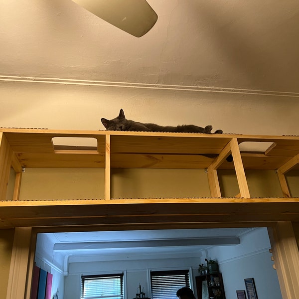 NEW Stronger and Larger, Cat Ledge. (cantilevered Cat Shelf, Inlay ...