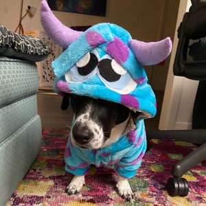 Baja Dog Poncho SIZE 3-mexican Dog Hoodie-mexican Poncho dog Sweater