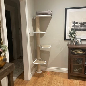 Dana added a photo of their purchase