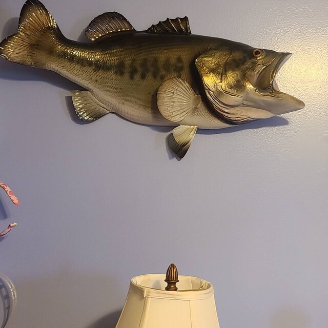 Largemouth Bass Half-side Fish Mount 28'' - Etsy