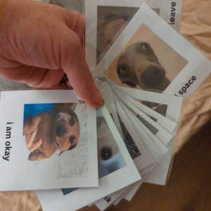 AJ added a photo of their purchase