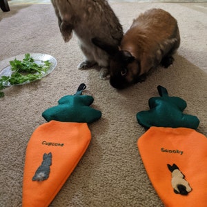 Sharon added a photo of their purchase