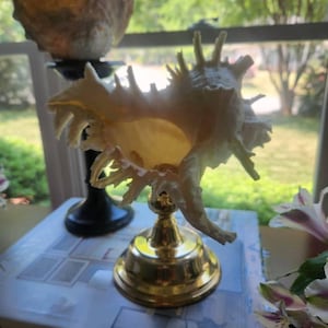 Deana added a photo of their purchase