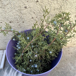 Laura さんが購入した商品の写真を追加しました