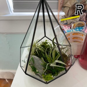 Farrell added a photo of their purchase