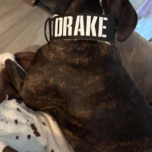 Shiloh added a photo of their purchase