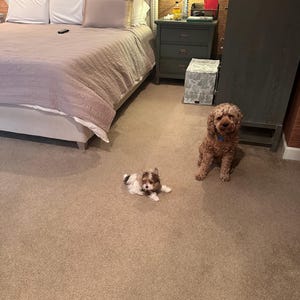 Chapel added a photo of their purchase