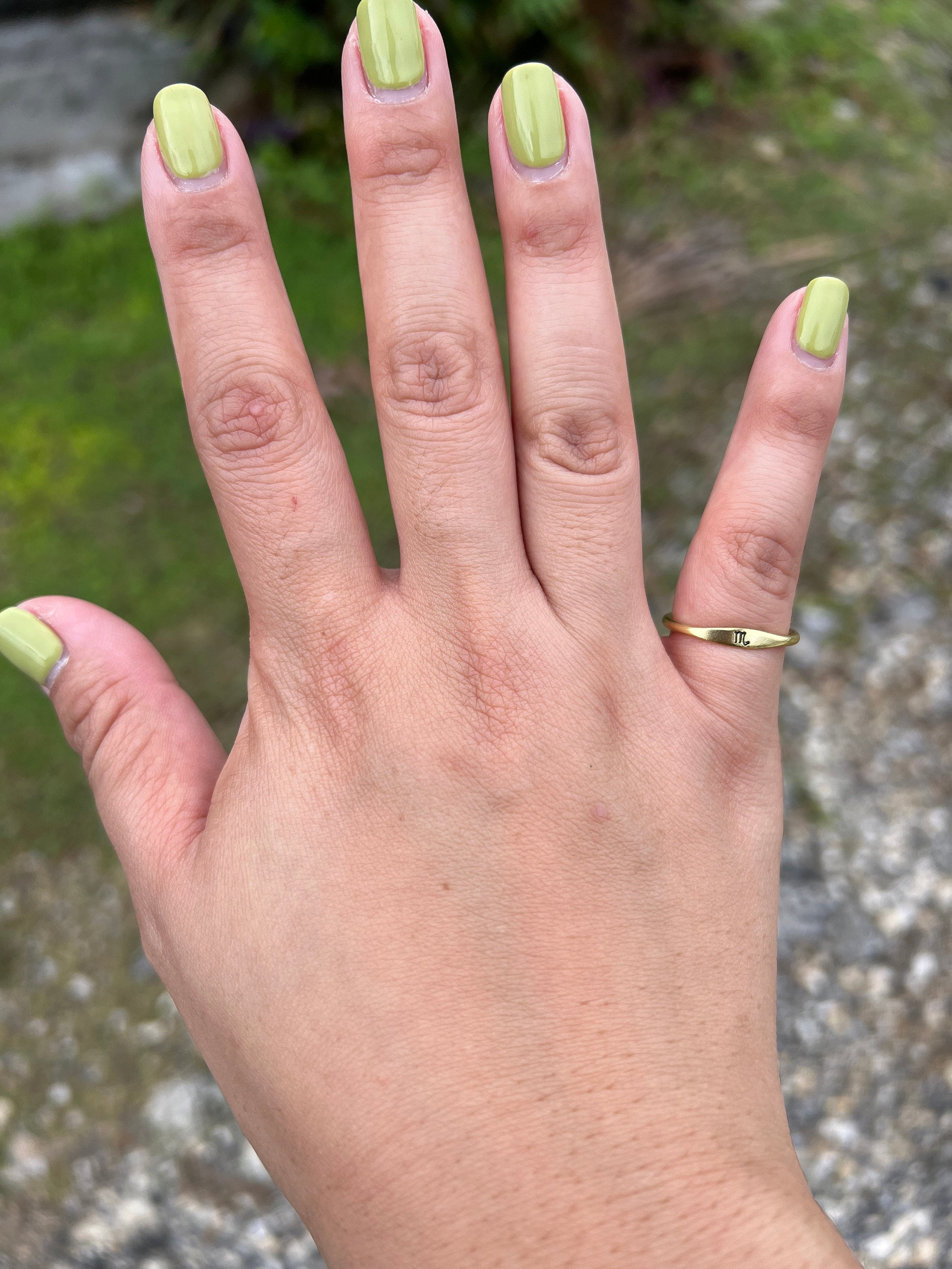 Zodiac Ring by CaitlynMinimalist • Custom Zodiac Jewelry in Sterling Silver, Gold & Rose Gold • Birthday Gift for Her • RM21F31