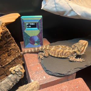 Katelyn ha añadido una foto de su compra