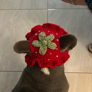 Brianda added a photo of their purchase
