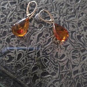 Leguay a ajouté une photo de son achat