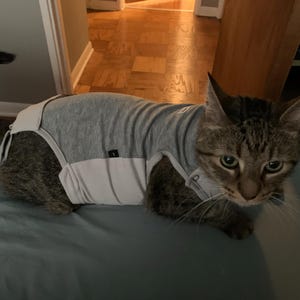 Melissa added a photo of their purchase