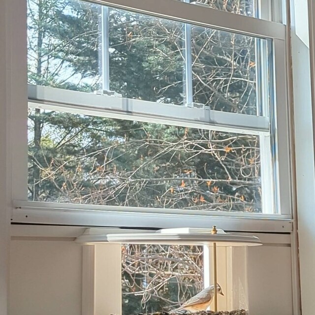  VIROTEE Window Bird Feeder Inside House for Viewing