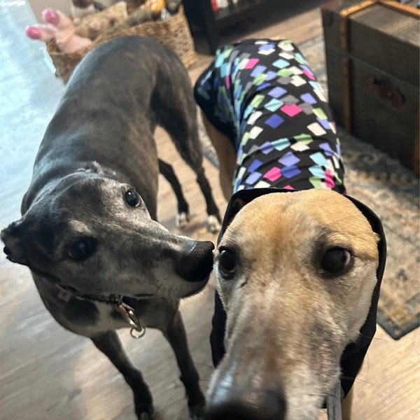 Greyhound Pajamas | Whippet Pajamas | Greyhound Tee | Long Sleeved ...