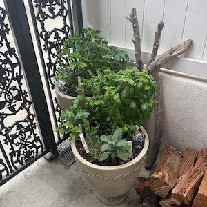 Kelly added a photo of their purchase