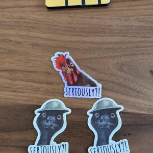 Robert added a photo of their purchase
