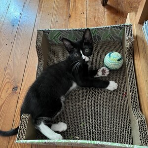 Comprador de Etsy ha añadido una foto de su compra