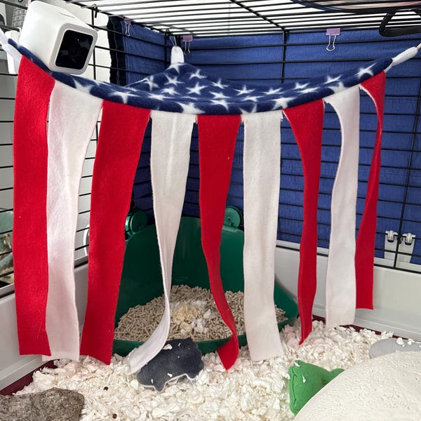 Photo inspiration: Curated Mexican Patterned Fleece For Guinea Pig Sleeping Areas Gallery View 39