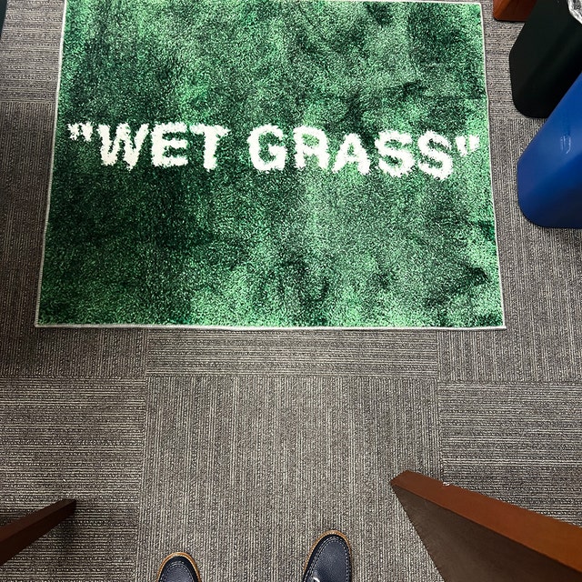  FLOOR DESIGNCO Wet Grass Rug,Grass Rug,Custom Rug,Wet
