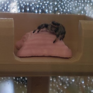 Ashley added a photo of their purchase