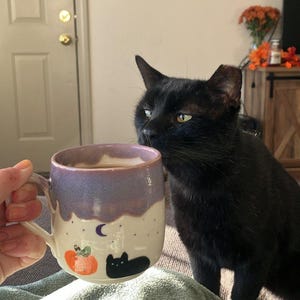 Rachel added a photo of their purchase