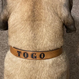 Marine Corps Dog Collar USMC Dog Collars Black Collar | Etsy