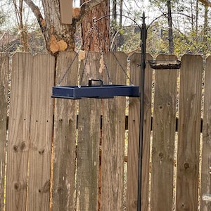 Lana added a photo of their purchase