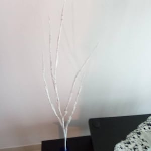 Nancy added a photo of their purchase