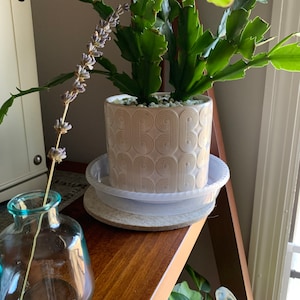 Pam added a photo of their purchase