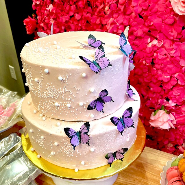 600x600 1389910749359 rainbow ombre wedding cake butterfly ombr