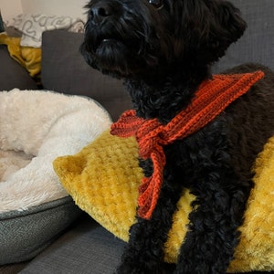 Charlie added a photo of their purchase