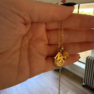 Review photo by Melanie for Custom Initial Necklace with Birthstone & Seahorse
