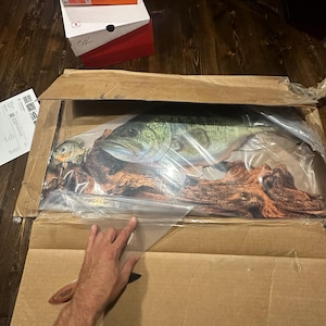 Willam added a photo of their purchase