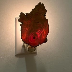 DalaiMarshak さんが購入した商品の写真を追加しました