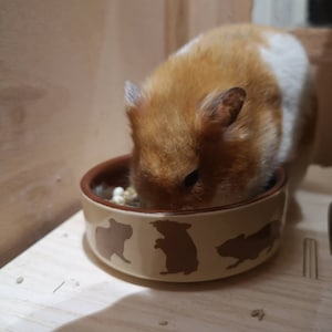 Natasha added a photo of their purchase
