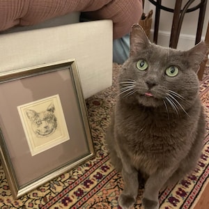 Isabella added a photo of their purchase