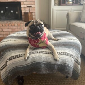 yolanda added a photo of their purchase