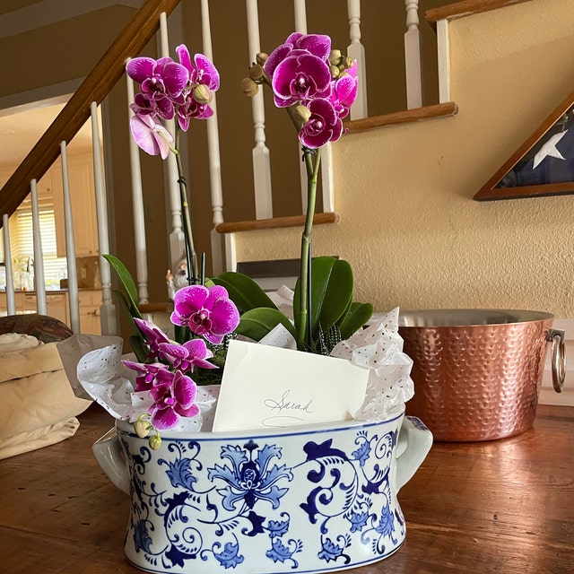 Chinoiserie Blue White Foot Bath Grand Millennial Orchid Pot Foot