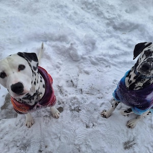 Mary added a photo of their purchase