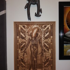FerAndor added a photo of their purchase