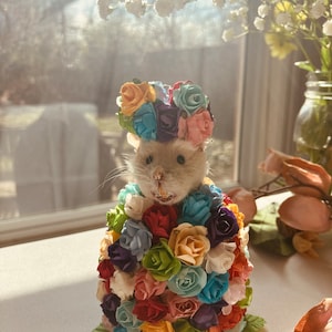 Veronica added a photo of their purchase