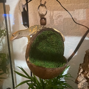 Dawn added a photo of their purchase