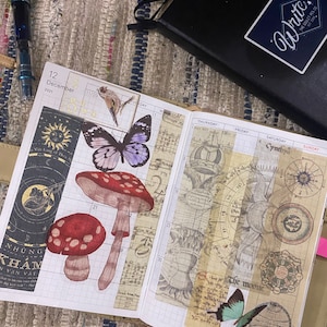 Rumi added a photo of their purchase