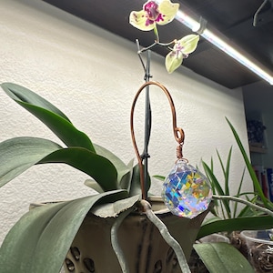 Julie added a photo of their purchase